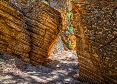 Lick Wash Trail Hike