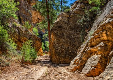 Lick Wash Trail Hike