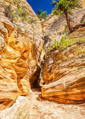 Lick Wash Trail Hike