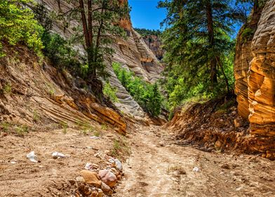 Lick Wash Trail Hike