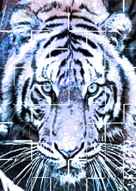 TIGER POSTERS