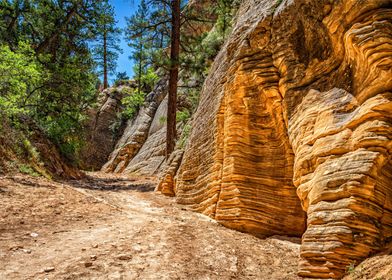 Lick Wash Trail Hike