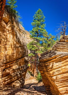 Lick Wash Trail Hike