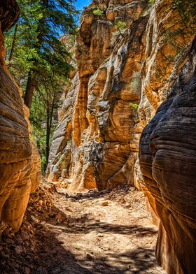 Lick Wash Trail Hike