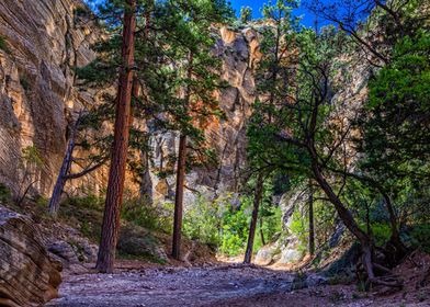 Lick Wash Trail Hike