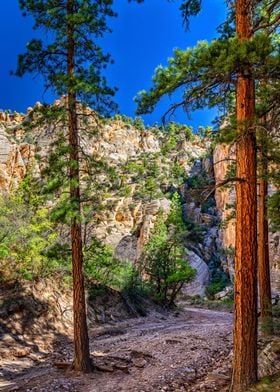 Lick Wash Trail Hike