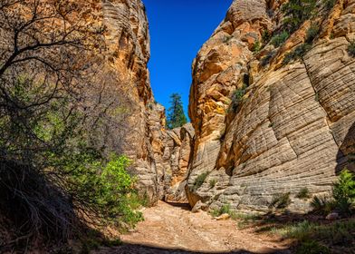 Lick Wash Trail Hike