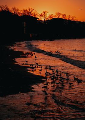 sunset in river bank