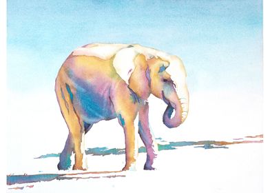 Elephant painting colorful