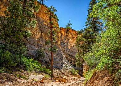 Lick Wash Trail Hike