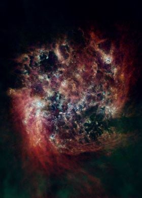 LARGE MAGELLANIC CLOUD