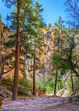 Lick Wash Trail Hike