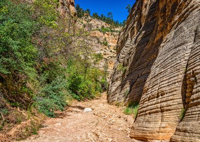 Lick Wash Trail Hike