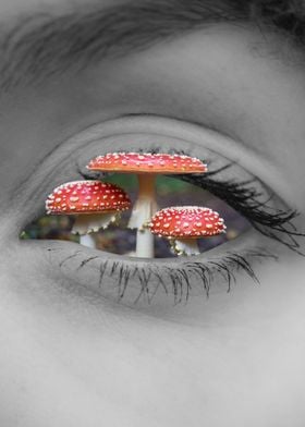 Mushroom Visual Weirdcore 