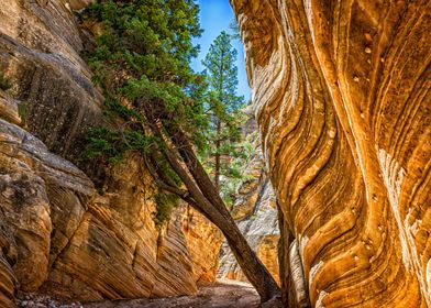 Lick Wash Trail Hike