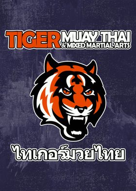 Tiger Muaythai and MMA 2