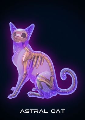 Astral Cat Sittng