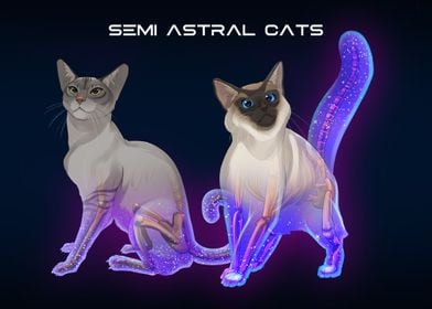 Semi Astral Cats
