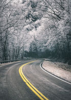 Winter Road