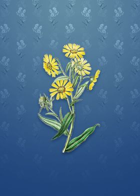 Vintage Madia Flower