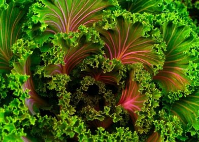 green kale