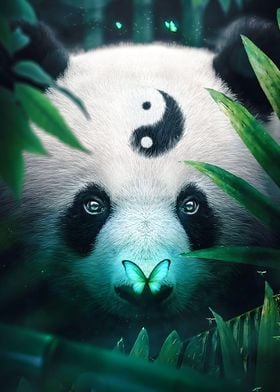 Mystic Panda