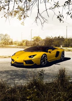 Aventador LP 7004