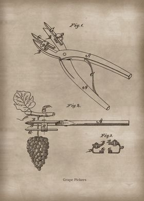 Vintage Grape Pickers