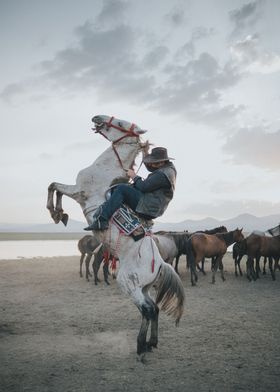 white horse and man