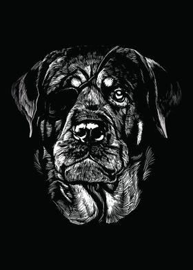 Rottweiler 