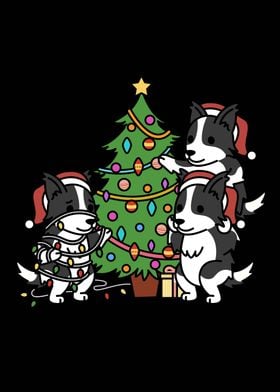 Border Collie Christmas