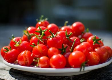 mini tomato