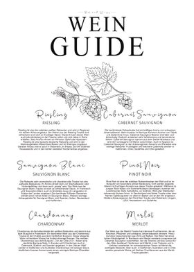 Wine Guide Wine Varieties