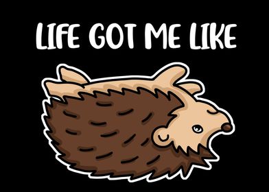 Life Got Me Like Hedgehog