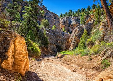 Lick Wash Trail Hike