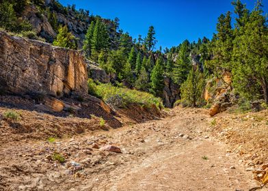 Lick Wash Trail Hike