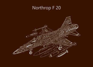 Northrop F 20 Tigershark 