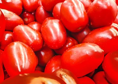 red tomatoes