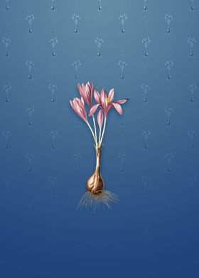 Vintage Autumn Crocus