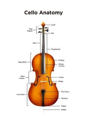 Cello