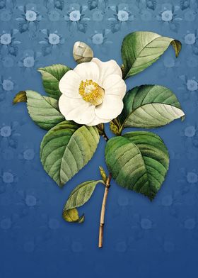 Vintage Japanese Camelia