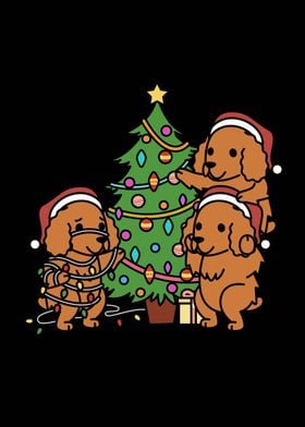 Cocker Spaniel Christmas