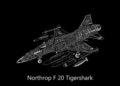 Northrop F 20 Tigershark 