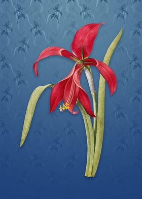 Amaryllis on Bahama Blue