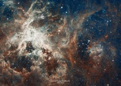 Tarantula Nebula