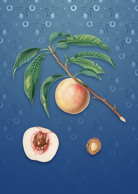 White Speckled Peach