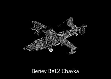 Beriev Be12 Chayka 