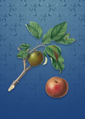 Apple on Bahama Blue