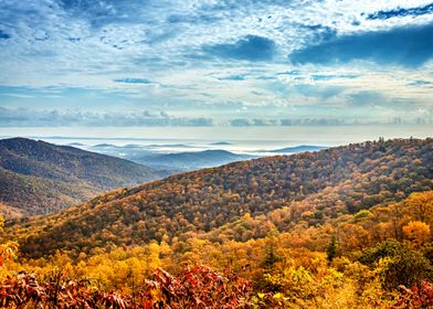 Autumn in Shenandoah