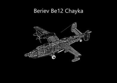 Beriev Be12 Chayka 